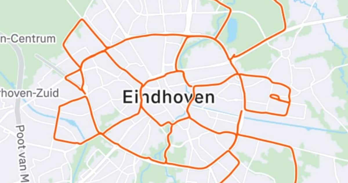 Fritz (45) cycles sea turtle of more than fifty kilometers straight through Eindhoven: ‘Along the wa