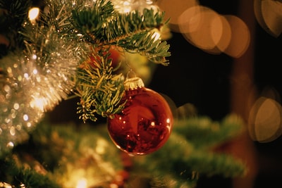 Emmaus in Eindhoven maakt zich op voor jaarlijkse kerstmarkt