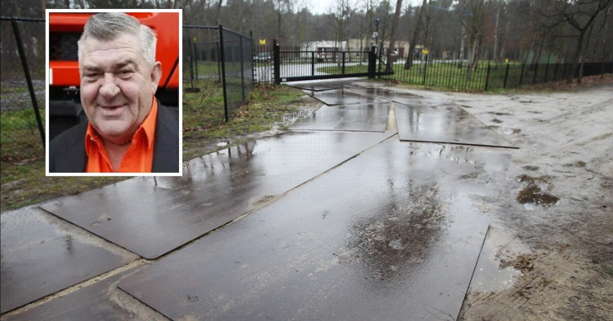 Hekken rond boswoning Jan de Rooij moeten na 5 jaar toch weg | Regio ...
