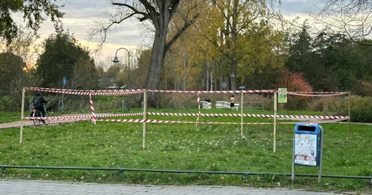 Andere plek voor nieuwe elektriciteitshuisjes Ton Smitspark na protest uit de buurt