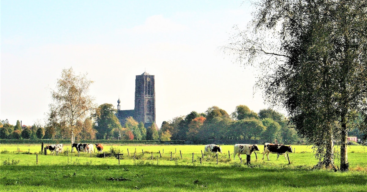 Zicht op markant Oirschot in gevaar door ‘stadse muur’ in Boterwijk, vrezen omwonenden