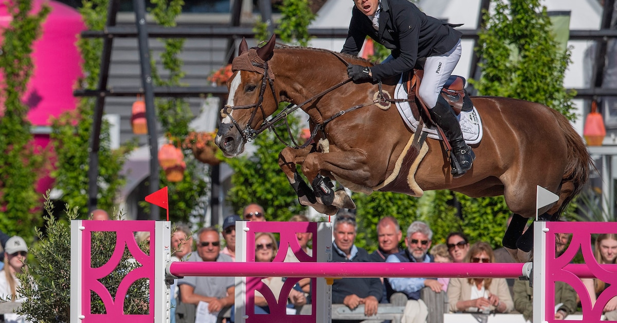 NK voor springruiters in Deurne ideale plek om hoge ogen te gooien: ‘De bondscoach kan een klein bee