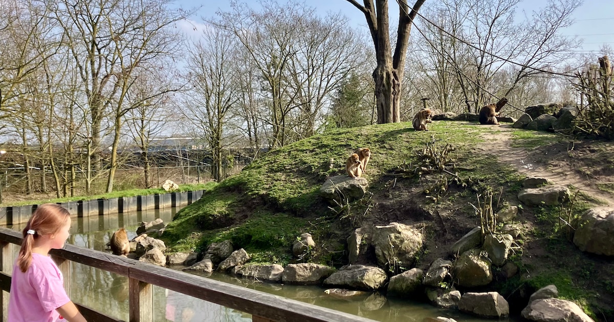 Een app voor beter dierenwelzijn? In Eindhoven Zoo hebben ze er eentje