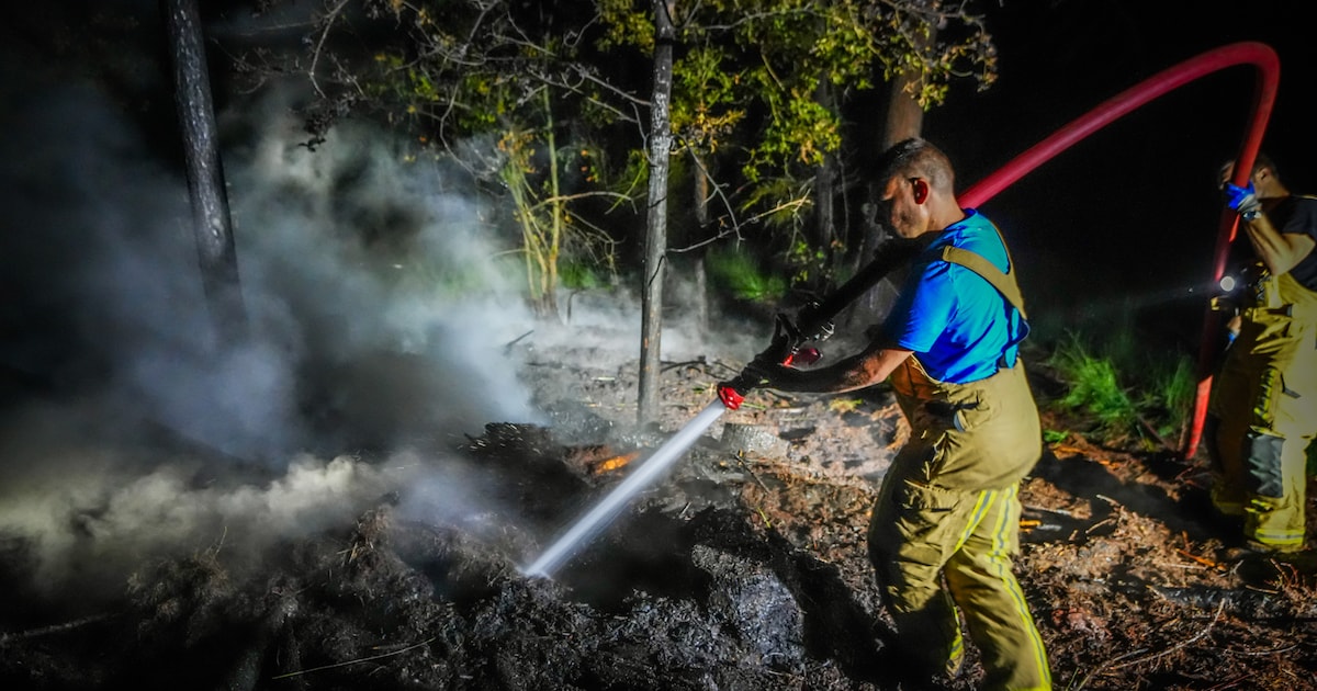 Natuurbrand bij Bladel: brandweer krijgt met extra bluswater vlammen onder controle bij bosgebied De