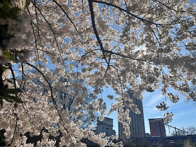 Uittips april 2026: dit is er deze maand te doen in Eindhoven