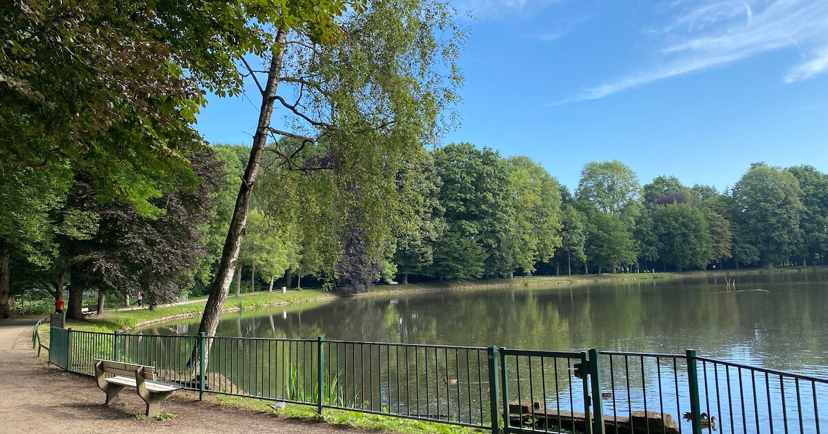 18 maanden cel voor man (40) na gewelddadige steekpartij in stadspark in Turnhout