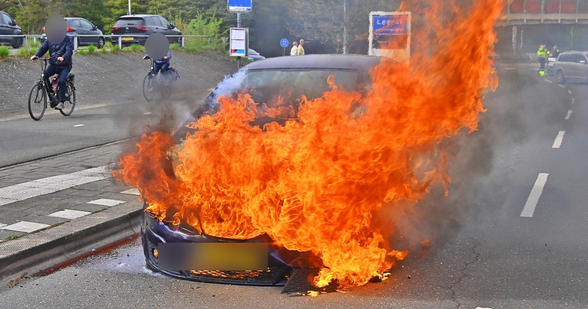 Bestuurder ziet lampje knipperen op dashboard, en niet veel later brandt auto af in Leende