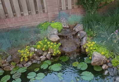 Vijverwaterval op te halen in Heeze, een boxspring in Helmond