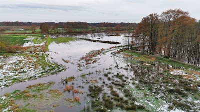 Waterschap kreeg al 130 schadeclaims: pijn bij Kempense boeren nog altijd voelbaar na hoogwater