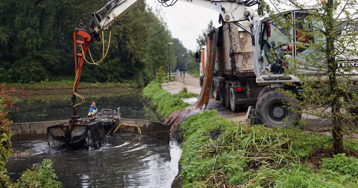Waterschap wil beschermde vis redden in Schijndel, beek wordt gevuld met grondwater | Foto