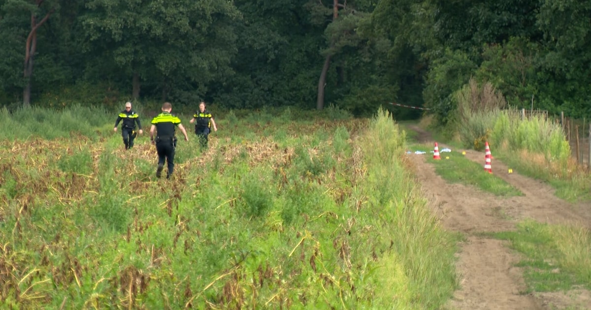 Lichaam ‘onder verdachte omstandigheden’ aangetroffen in bosgebied Maasbree | Binnenland | ED.nl