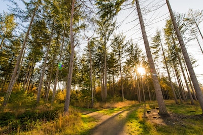 Troostwandeling op natuurbegraafplaats Schoorsveld: samen stilstaan bij verlies en leven