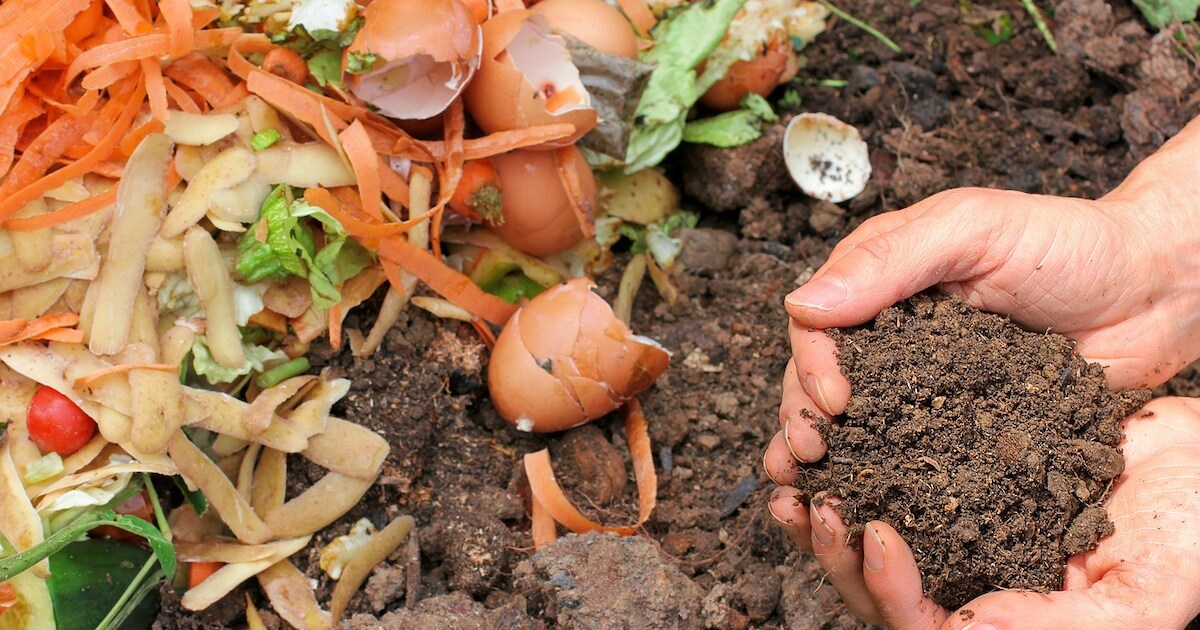 Gemeente Cranendonck biedt korting op compostvat | Regio | ED.nl