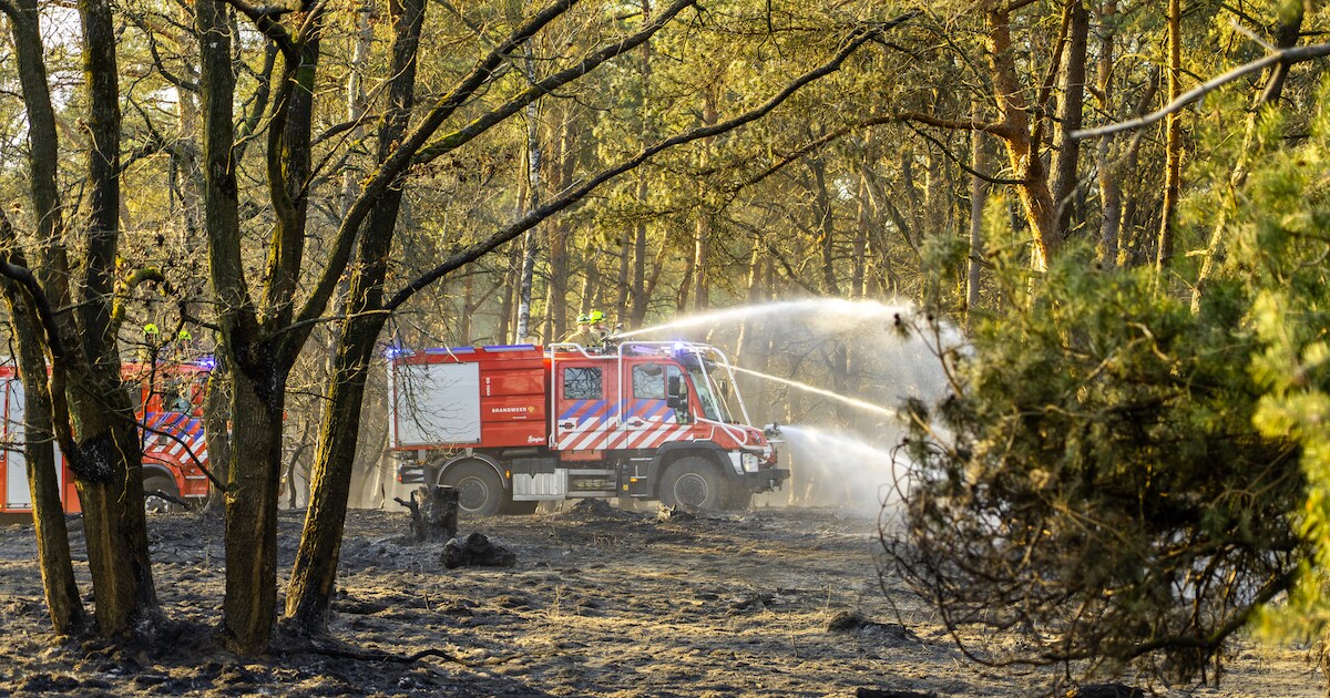 Brand in een stuk bos langs de Vredepeelweg in Overloon