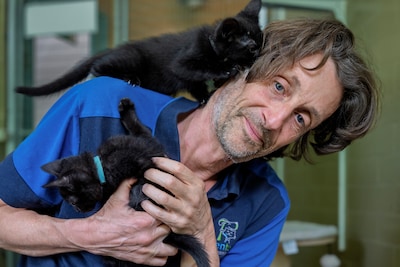 Niet alleen dumpdieren: asielen zien steeds meer honden met gedragsproblemen en katten met klitten