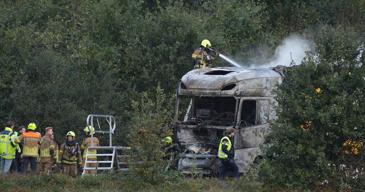 Bestuurder van auto overleden bij zware crash op N260 bij Gilze