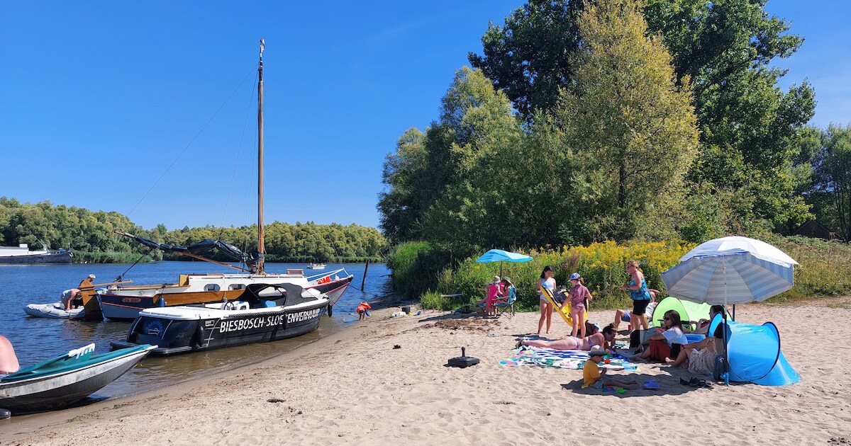 Traumaheli en politieheli rukken uit naar Hank: recreant springt in het water en raakt onwel