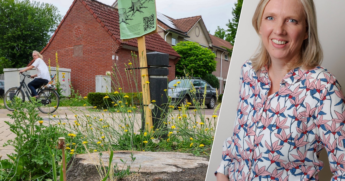 Deze week: Wat gaat de gemeente doen met 2,8 miljoen? En in Waalre opende een bijzondere ranch