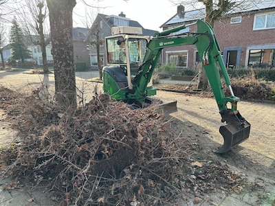 Bewoners willen procederen tegen kapvergunning maar worden overvallen door graafmachine in de straat