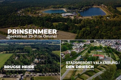 LIVE Veiling parken Peter Gillis | Van Prinsenmeer tot Valkenburg: vanaf 11 uur wordt er geboden op 