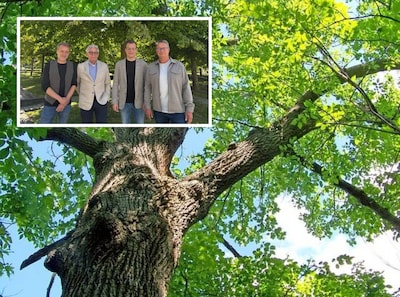 Nieuwe plannen voor Veldhoven: twee bomen terug voor elke kap en bieb tot 27 jaar gratis