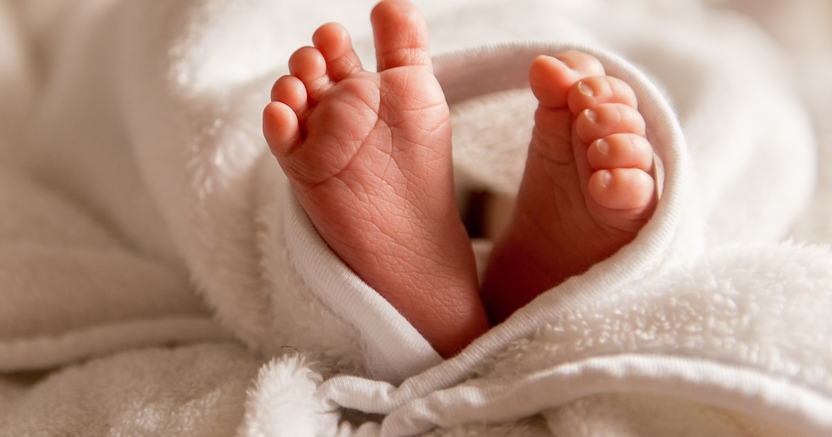 Vrouwen in Veldhoven krijgen relatief weinig kinderen, opvallend weinig grote gezinnen
