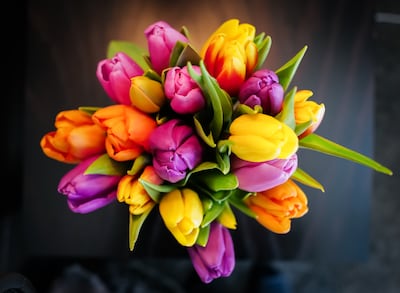 Onderscheiding voor Mirjam Meijer ‘van het Kapelleke van Binderen’