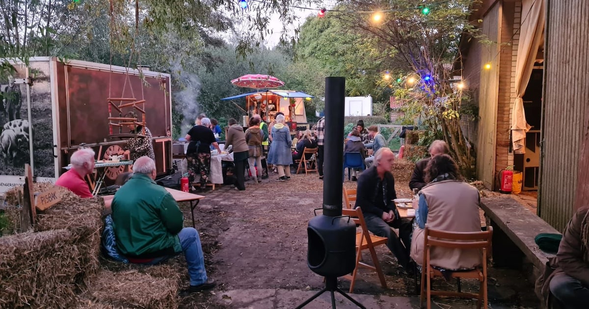 Broekland Festival brengt boeren, varkens, theater en een ‘knorgel’ samen in Asten-Heusden
