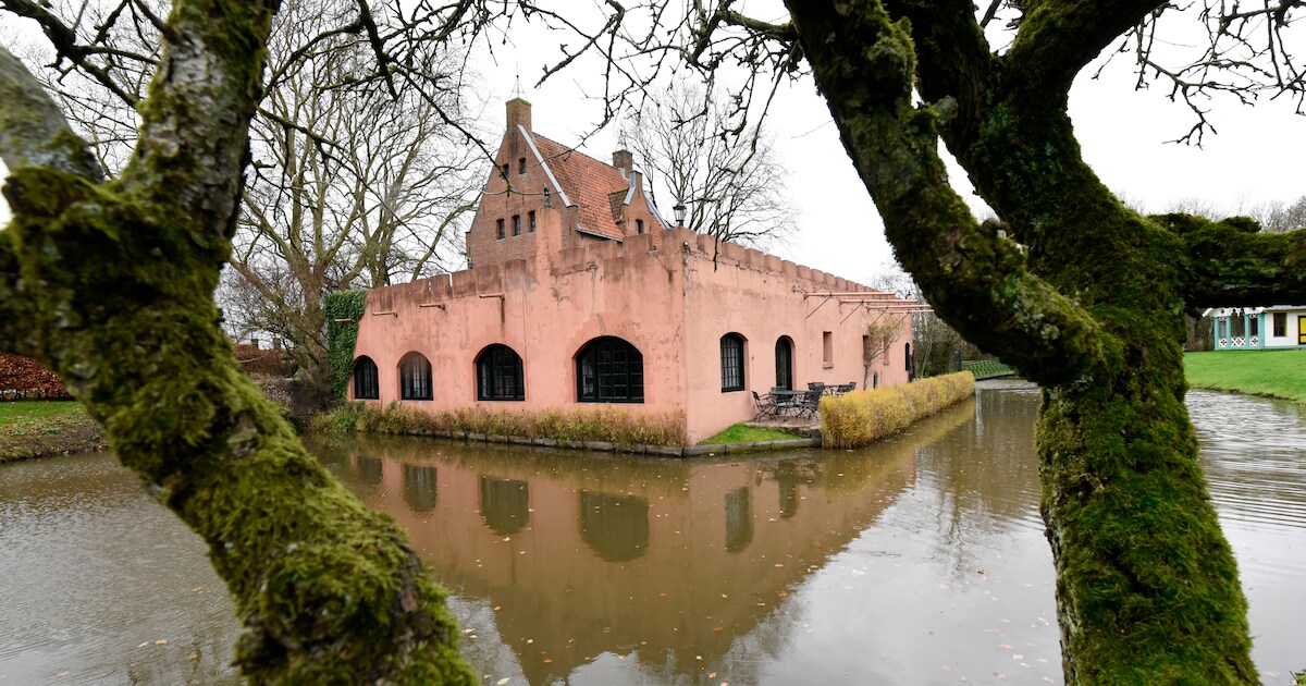Ruzie om kasteel duurt al 16 jaar, een van eigenaren (79) ten einde raad: ‘Mama heeft er veel verdri