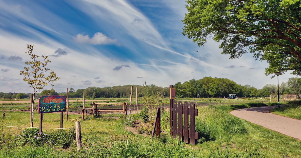 136 bezwaren naar prullenbak verwezen, strijd om oogsttuin in Markdal loopt op z’n einde