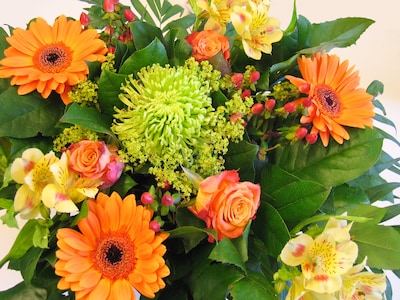 Erespeld voor Veldhovenaar Chris Bolwerk