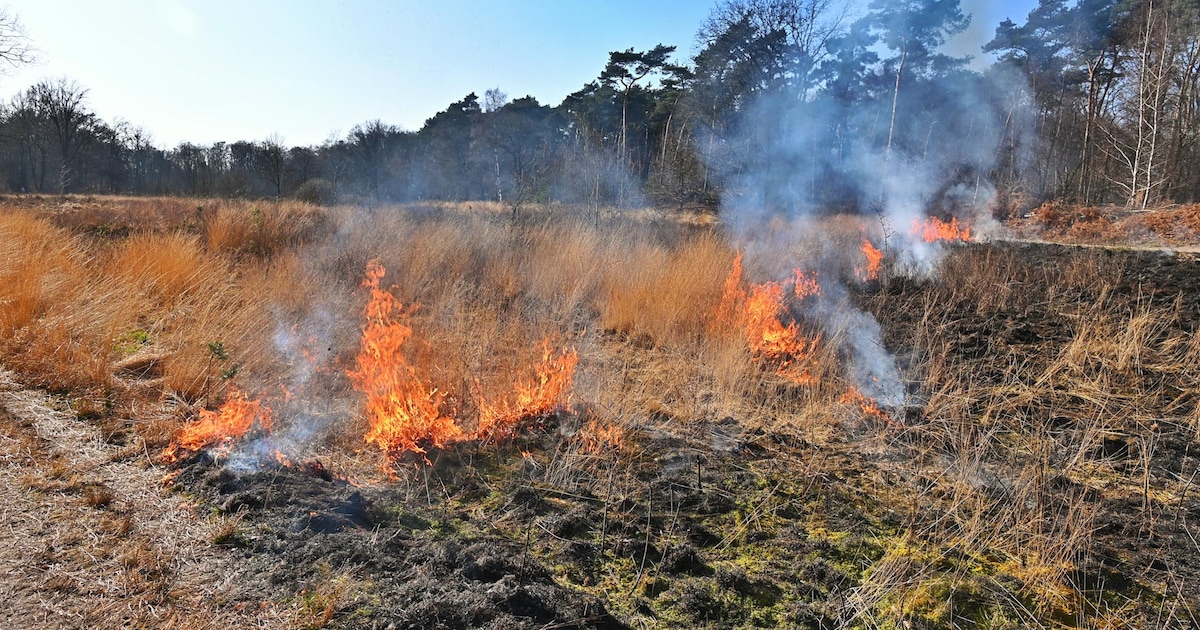 Natuurbrand geblust in Valkenswaard