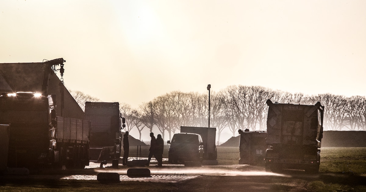 Al ruim 1,5 miljoen dieren geruimd en niemand weet waar de vogelgriep eindigt