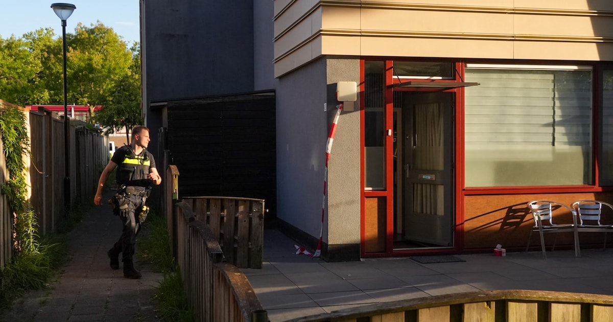 Bewoonster bedreigd door gewapende groep jonge mannen bij woningoverval in Geldrop, waarschijnlijk v
