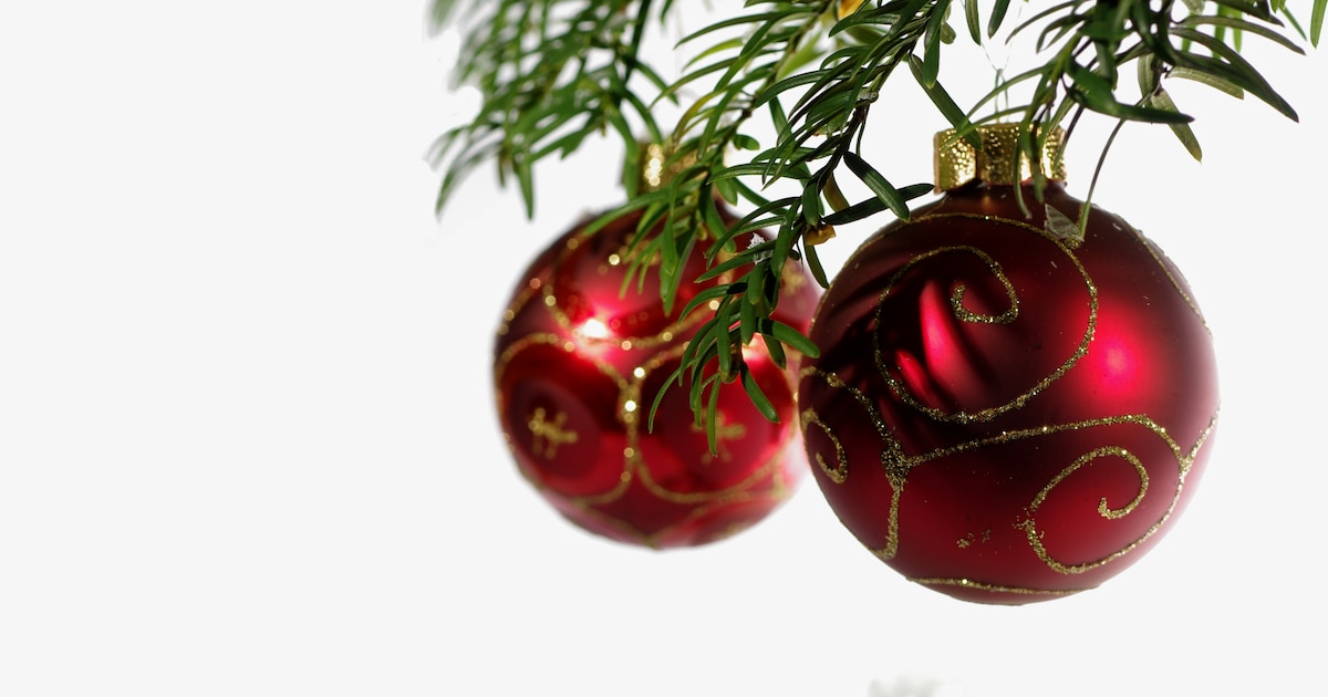 Wensboom keert terug op Ridderplein in Gemert