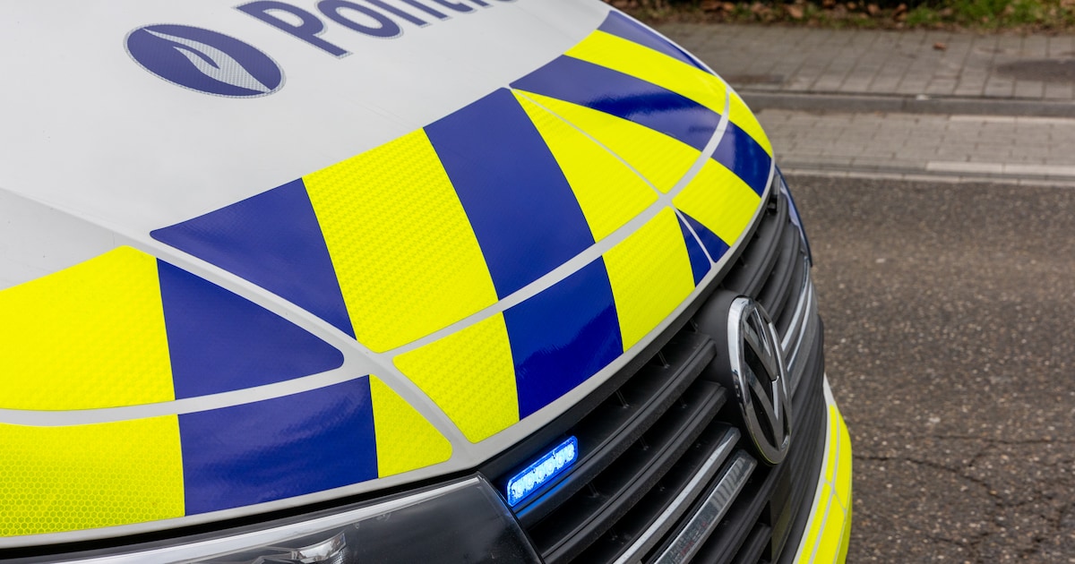 Bestuurder vergist zich van pedaal en komt met auto in haag terecht