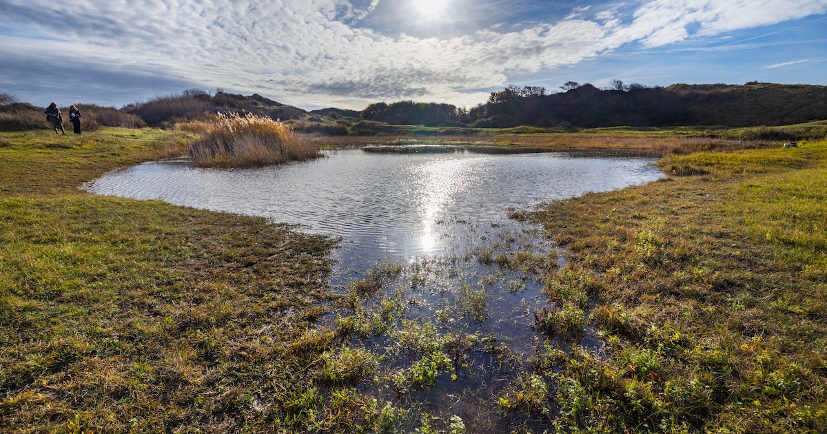 Heemkaffee belicht geschiedenis Goorswinkelsepad in Gemert
