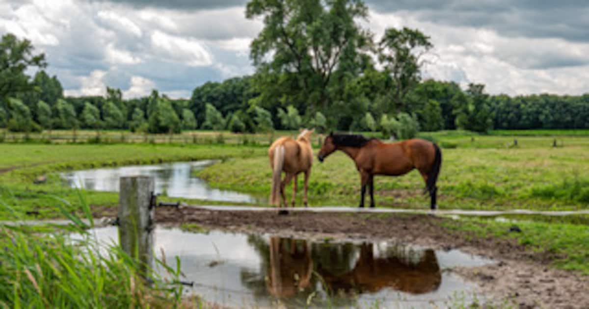 Fototentoonstelling IVN Heeze-Leende in dorpshuis Sterksel