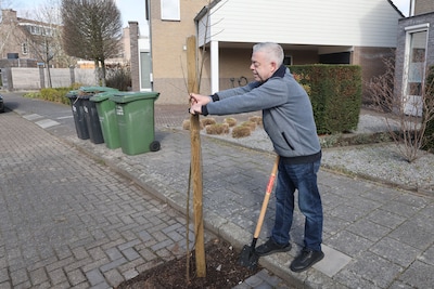 Bomen sneuvelen bij de vleet in Eindhovense wijk, bewoners komen zelf in actie