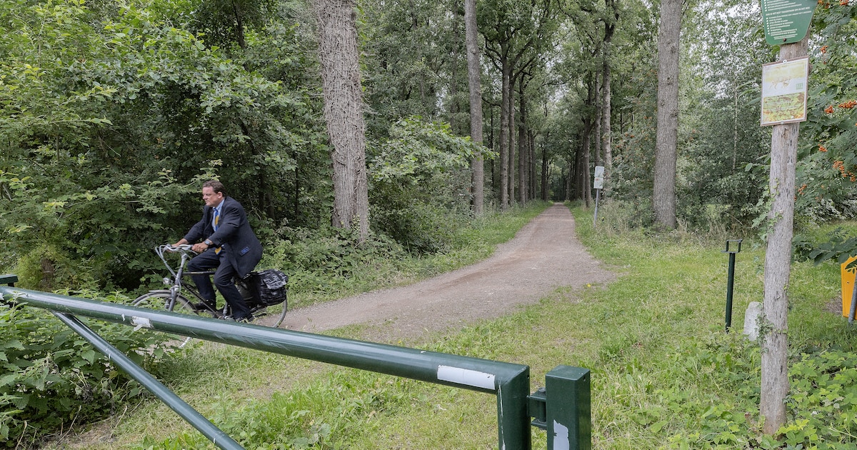 Helmond kiest voor verharding van fietspad in bos, met speciale platen en boomtoezicht