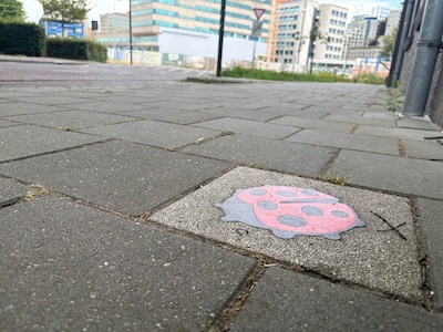 Zo zat het dus: het verhaal achter die stoeptegels met lieveheersbeestje