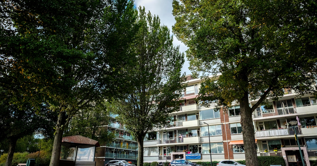 Zo pak je stedelijke hitte aan: groen moet net zo belangrijk worden als woningen en wegen