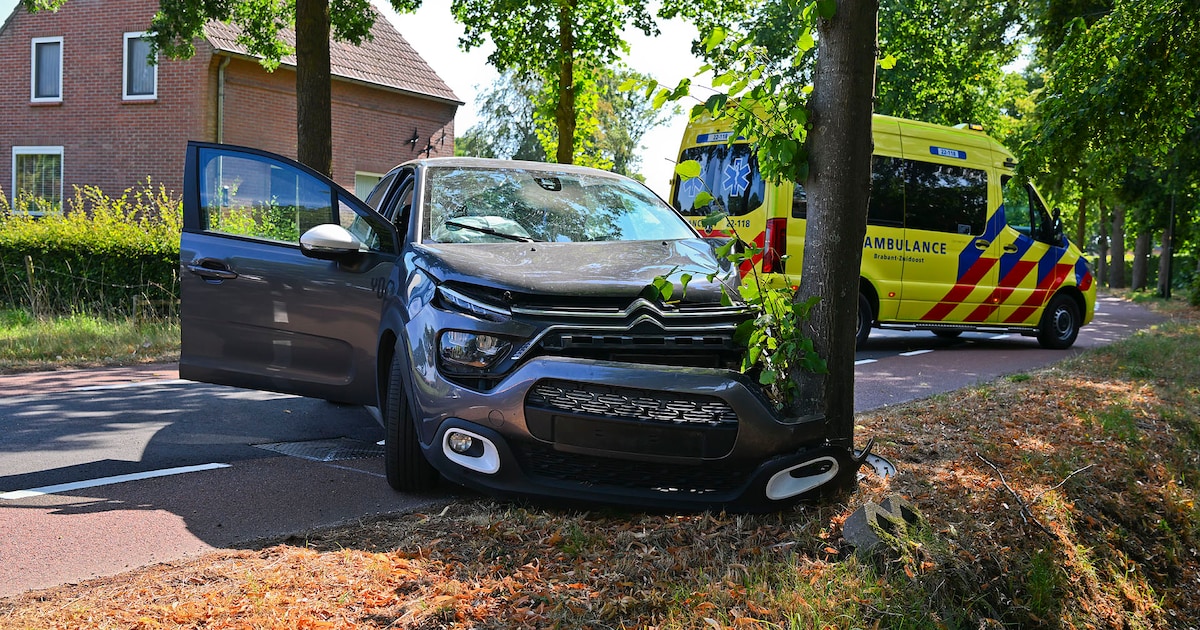 Automobiliste botst tegen boom en raakt gewond in Hapert