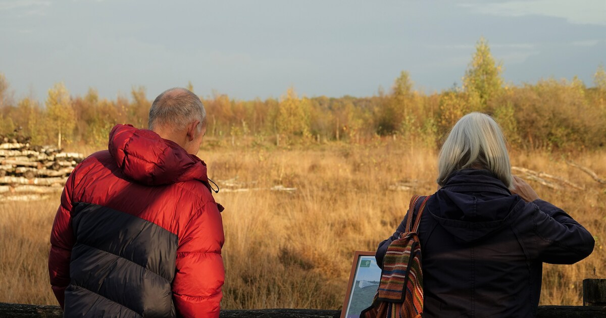Stiltewandeling in Groote Peel