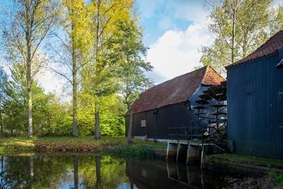 Van Gogh Museum: ‘Verplaatsing naar Eindhoven niet aan de orde’