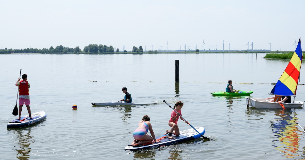 Zeilen, peddelen, vissen: van alles uitproberen op Bergse Watersportdag