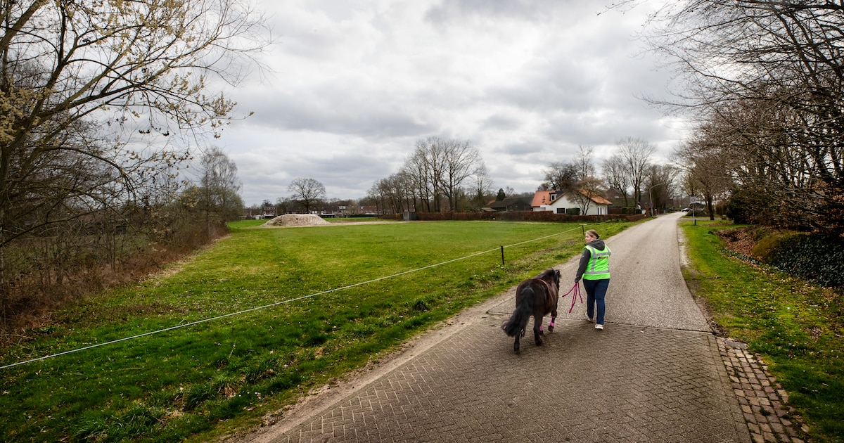 Wijk in Deurne lijkt met ongeveer een kwart te groeien: gemeente positief over plan 84 woningen