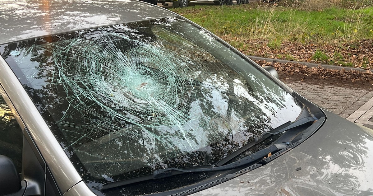 Bestuurder van crossmotor raakt gewond bij botsing met auto in Sint-Oedenrode