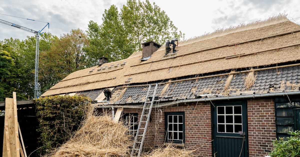 De Boschwachter in Heeze krijgt na lang wachten een nieuw rieten dak: ‘Nu kunnen we door’