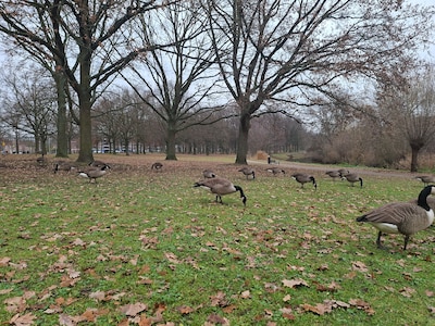 Eindhovense politiek positief over dependance Rijksmuseum: ‘Als we zelf stap niet zetten, gebeurt he